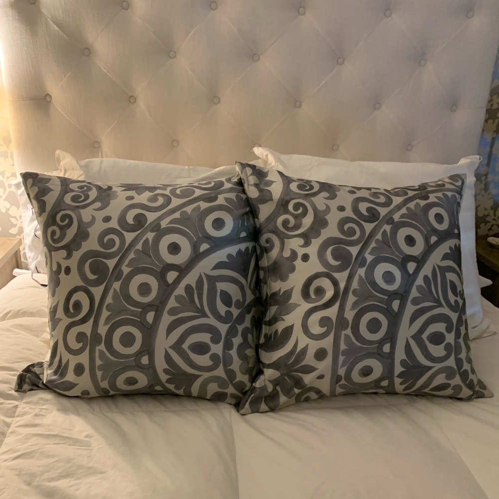 24x24 Pottery Barn Pillows (2)